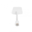 DIGITUS DisplayPort Adapter Mini DP -> DVI 24+5 0.15m weiß