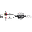 DELOCK Adapter DVI Stecker > Displayport 1.2 Buchse schwarz