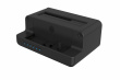IcyBox Docking and cloning station 2.5 and 3.5 M.2 NVMe IB-2914MSCL-C31