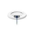 Teltonika Wireless Access Point | TAP100 | 802.11n | 10/100 Mbit/s | Ethernet LAN (RJ-45) ports 1 | MU-MiMO No | PoE in | Antenna type Internal