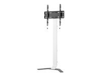 TECHLY Super Slim Floor Stand for LCD / LED / Plasma TV from 32 inch to 70inch