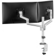 Neomounts DS60-425WH2 Tischhalterung für 17-27