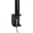Tischhalterung für 1 Monitor bis 81,3cm 32