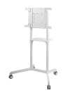 Neomounts NS-M1250 WHITE floor stand 37-70'' 70KG 200x200-600x400