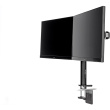 Desk Mount DS1002C-B1 Dual 10