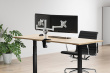 Neomounts FPMA-D1330DSILVER Monitor arm 10-27
