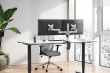 Neomounts FPMA-D1330DSILVER Monitor arm 10-27