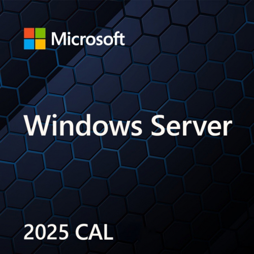 Microsoft OEM Win CAL 2025 Device ENG 1Clt EP2-25225