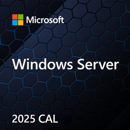 Microsoft OEM Win Svr CAL 2025 Device ENG 5Clt EP2-25243