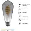 Hombli smarte Filament Glühbirne, ST64, E27, CCT, Smokey