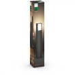 Philips HUE Turaco Wegel Anthr HueWh 800lm
