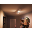 Philips Hue White & Col. Amb. Centris Spot 2 flg. weiß V2