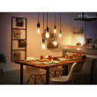 Philips Hue White E27 Filament 550lm.
