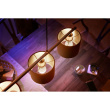 Philips Hue Valge E14 Luster Doppelpack 2x470lm