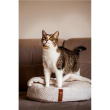 Sourcing | Paloma Cat Bed with Cover, 480x480x150 mm | Beige