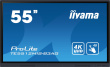 iiyama 55