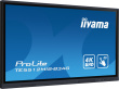 iiyama 55