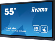 iiyama 55