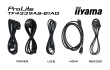 iiyama 43