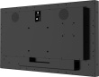 iiyama 43