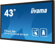 iiyama 43