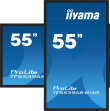 iiyama 55