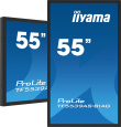 iiyama 55