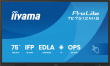 iiyama 75