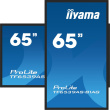 iiyama 65