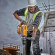 DeWALT D25733K-QS rotary hammer 1600 W SDS Max