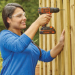 Black & Decker BDCDC18K-QW bor Sort, O
