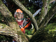 Must & Decker GKC1825L20 Must,Orange