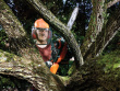 Черный & Decker GKC3630L20 chainsaw Черный, Orange