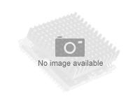 LENOVO ThinkSystem SR550/SR590/SR650 Intel Xeon Silver 4208 8C 85W 2.1GHz Processor Option Kit w/o FAN