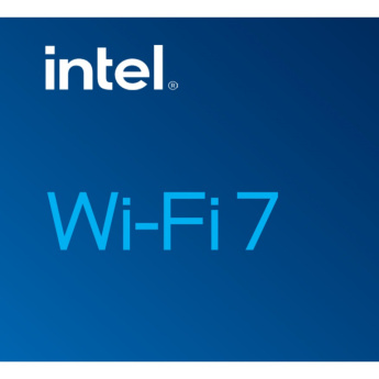 INTG INTEL WI-FI 7 BE202 2230 2x2 BE+BT No vPro