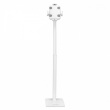 Techly Floor stand for iPad and tablet 9.7-10.1 inch