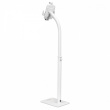 Techly Floor stand for iPad and tablet 9.7-10.1 inch