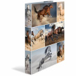 HERMA Ringbuch A4 Pferde 2D