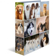 HERMA Ordner A4 Hunde