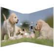HERMA Ordner A4 Hunde