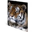 HERMA Sammelmappe A4 Leopard Polypropylen