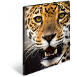 HERMA Sammelmappe A3 Leopard Polypropylen