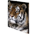 HERMA Sammelmappe A3 Leopard Polypropylen