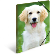 HERMA Sammelmappe A3 Hunde Polypropylen