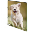 HERMA Sammelmappe A3 Hunde Polypropylen