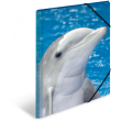 HERMA Sammelmappe A3 Delfin Polypropylen