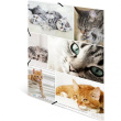 HERMA Sammelmappe A4 Katzen Pappe