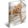 HERMA Sammelmappe A4 Glossy Katze Polypropylen