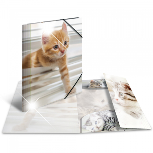 HERMA Sammelmappe A4 Glossy Katze Polypropylen