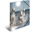 HERMA Sammelmappe A4 Glossy Pferd Polypropylen